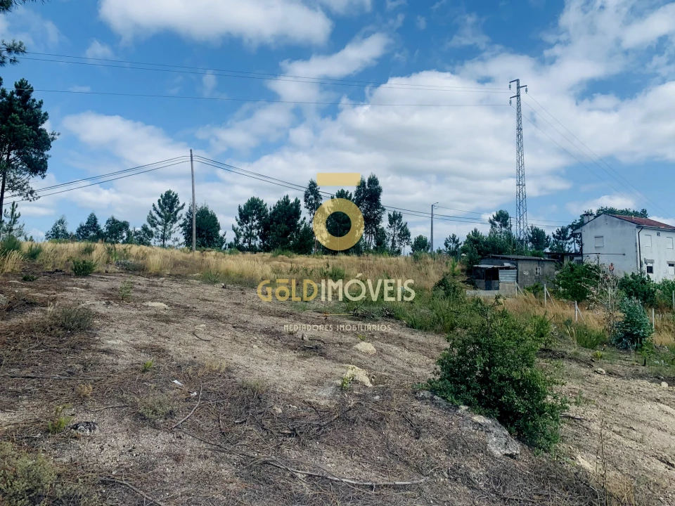 Terreno Agricola ou Rústico para Venda em Santa Maria de Sardoura Foto 10