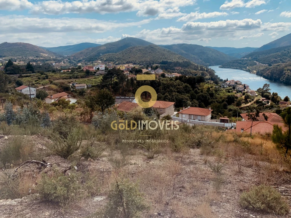 Terreno Agricola ou Rústico para Venda em Santa Maria de Sardoura Foto 13