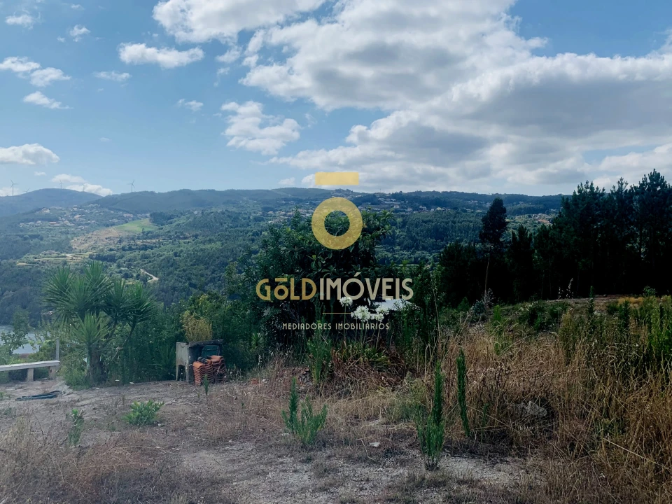 Terreno Agricola ou Rústico para Venda em Santa Maria de Sardoura Foto 4