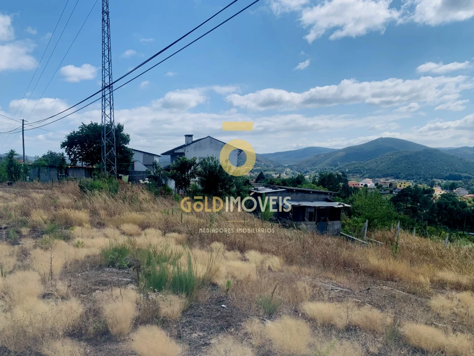 Terreno Agricola ou Rústico para Venda em Santa Maria de Sardoura Foto 6