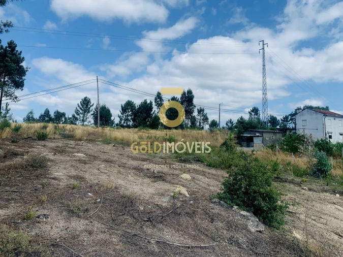 Terreno Agricola ou Rústico para Venda em Santa Maria de Sardoura Foto 10