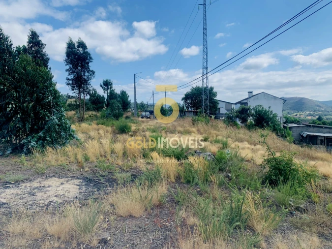 Terreno Agricola ou Rústico para Venda em Santa Maria de Sardoura Foto 7