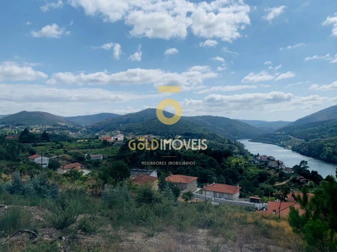 Terreno Agricola ou Rústico para Venda em Santa Maria de Sardoura Foto 9