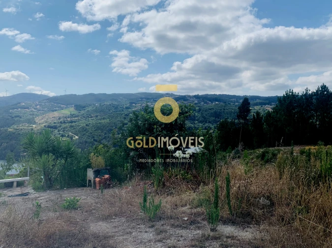 Terreno Agricola ou Rústico para Venda em Santa Maria de Sardoura Foto 4