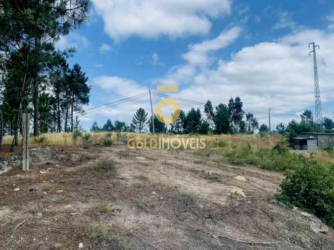 Terreno Agricola ou Rústico para Venda em Santa Maria de Sardoura Foto 11