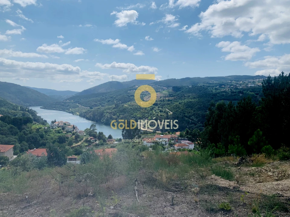 Terreno Agricola ou Rústico para Venda em Santa Maria de Sardoura Foto 12