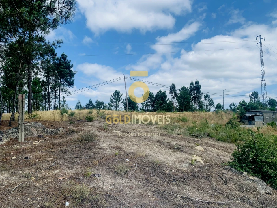 Terreno Agricola ou Rústico para Venda em Santa Maria de Sardoura Foto 11