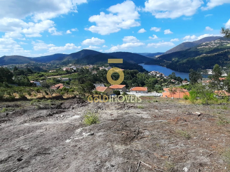 Terreno Agricola ou Rústico para Venda em Santa Maria de Sardoura Foto 2