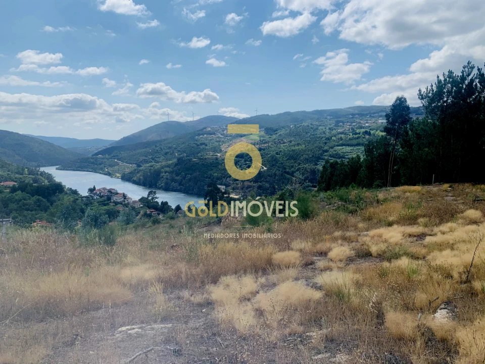 Terreno Agricola ou Rústico para Venda em Santa Maria de Sardoura Foto 5