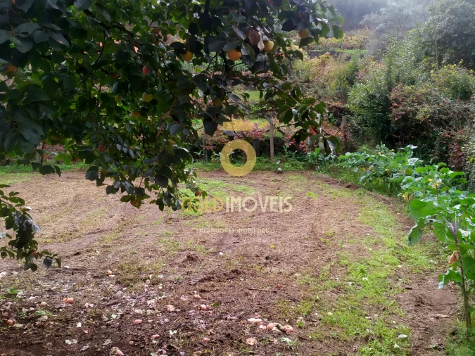 Moradia T0 para Venda em Santa Maria de Sardoura Foto 19