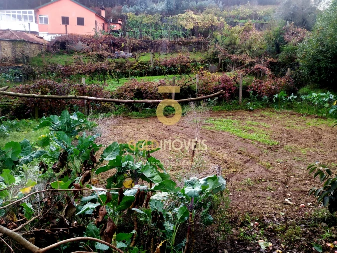 Moradia T0 para Venda em Santa Maria de Sardoura Foto 17