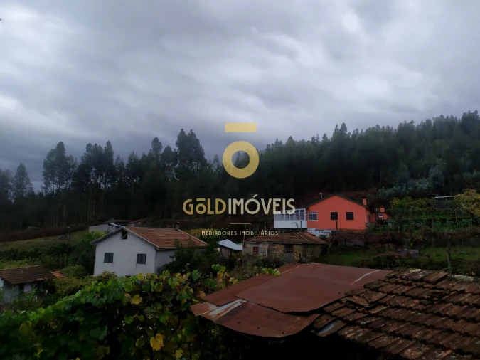 Moradia T0 para Venda em Santa Maria de Sardoura Foto 20