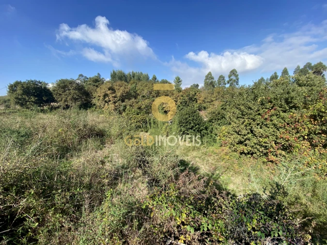 Terreno para Venda em Rebordosa Foto 5