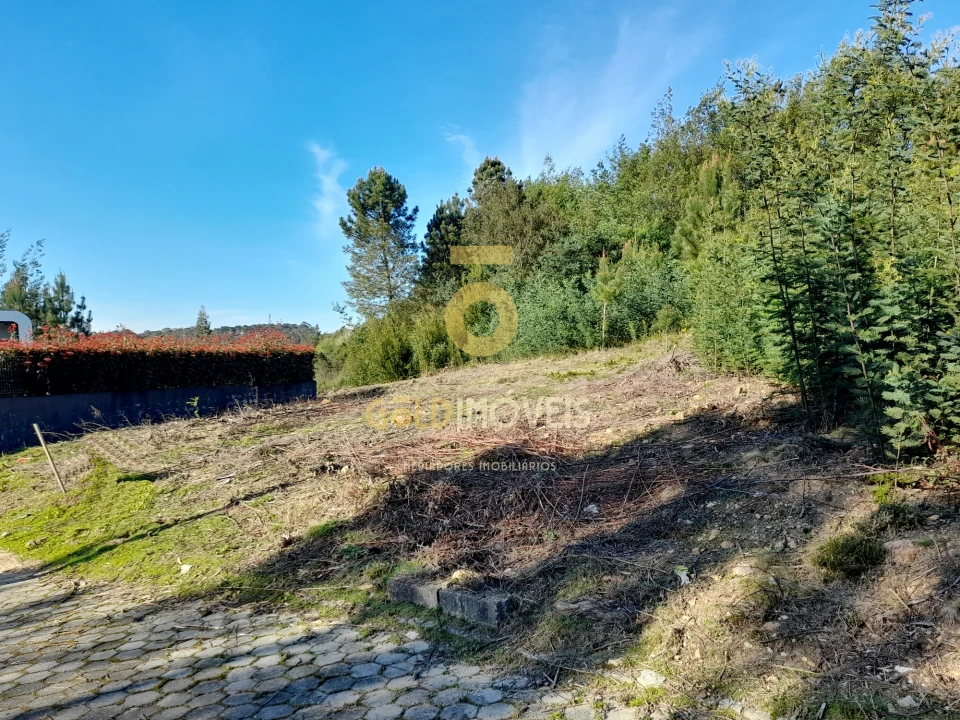 Terreno para Venda em Nogueira do Cravo e Pindelo Foto 5