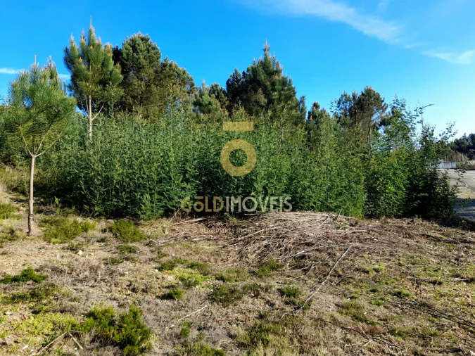 Terreno para Venda em Nogueira do Cravo e Pindelo Foto 6