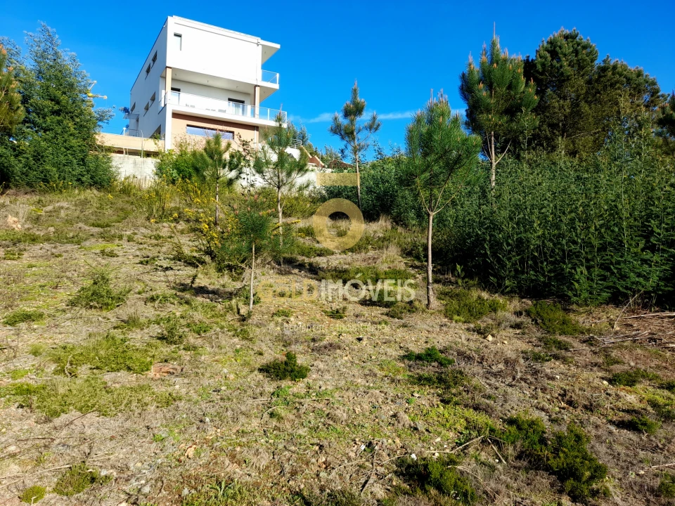 Terreno para Venda em Nogueira do Cravo e Pindelo Foto 3