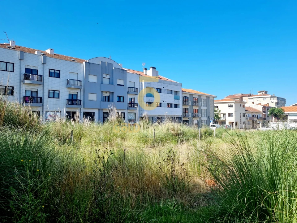 Terreno Agricola ou Rústico para Venda em Espinho Foto 5