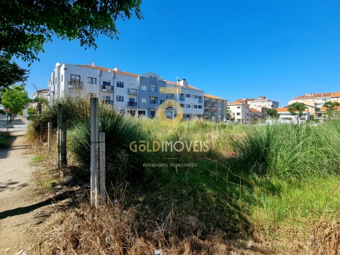 Terreno Agricola ou Rústico para Venda em Espinho Foto 4