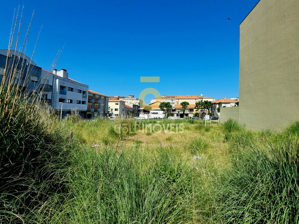 Terreno Agricola ou Rústico para Venda em Espinho Foto 6