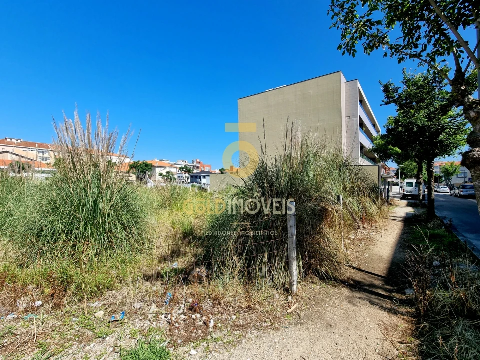 Terreno Agricola ou Rústico para Venda em Espinho Foto 7
