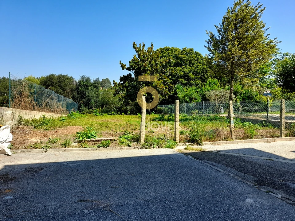 Moradia T3 para Venda em Branca Foto 3