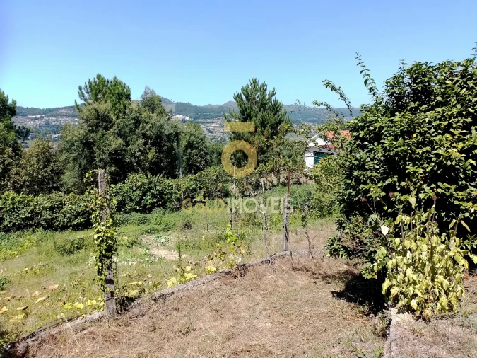 Terreno para Venda em Espadanedo Foto 3