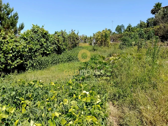 Terreno para Venda em Espadanedo Foto 6