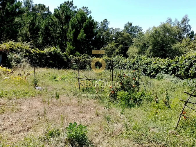 Terreno para Venda em Espadanedo