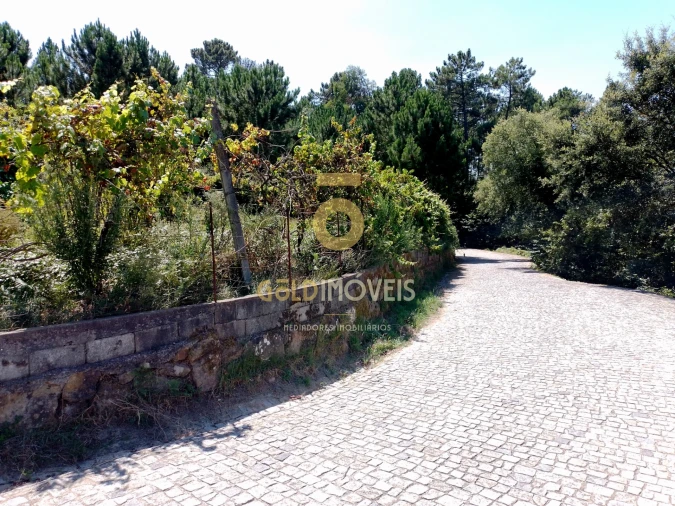 Terreno para Venda em Espadanedo Foto 10