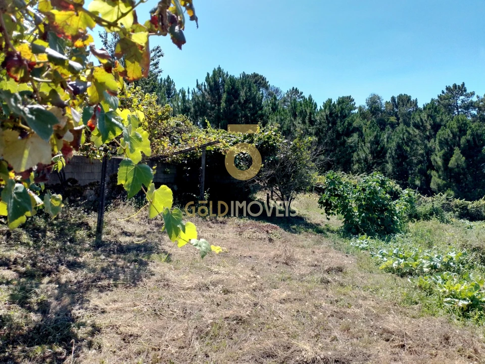 Terreno para Venda em Espadanedo Foto 4