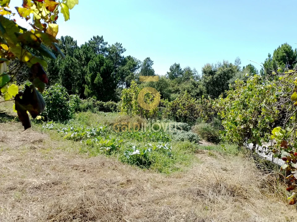 Terreno para Venda em Espadanedo Foto 5