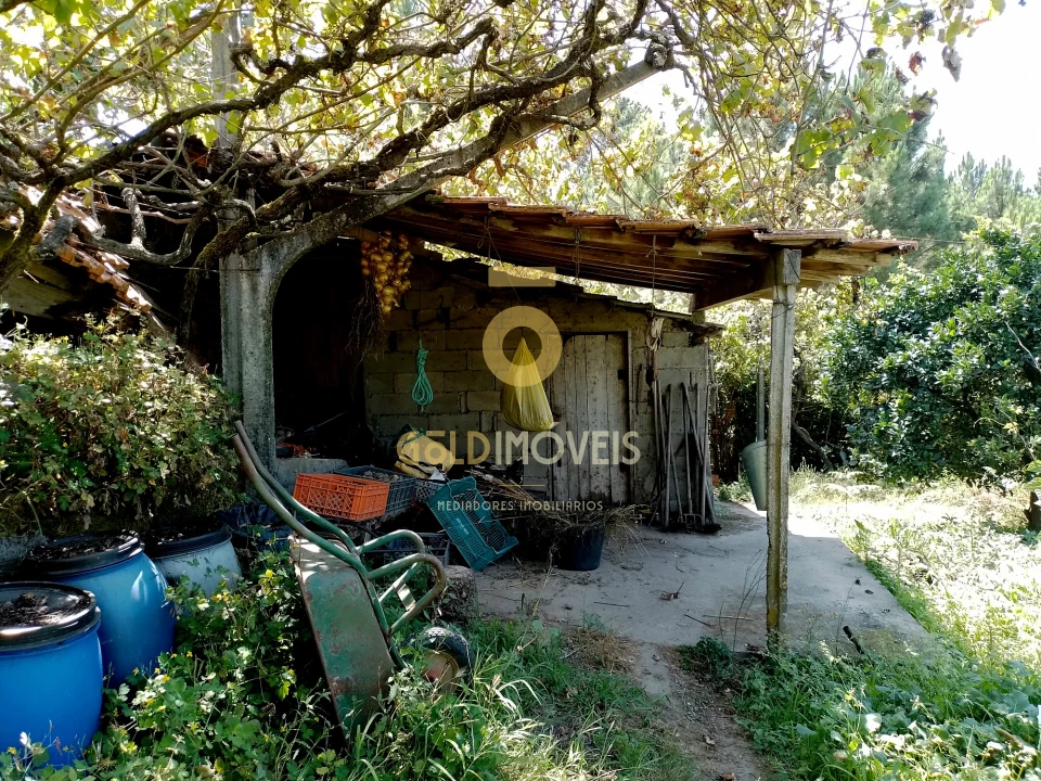 Terreno para Venda em Espadanedo Foto 2