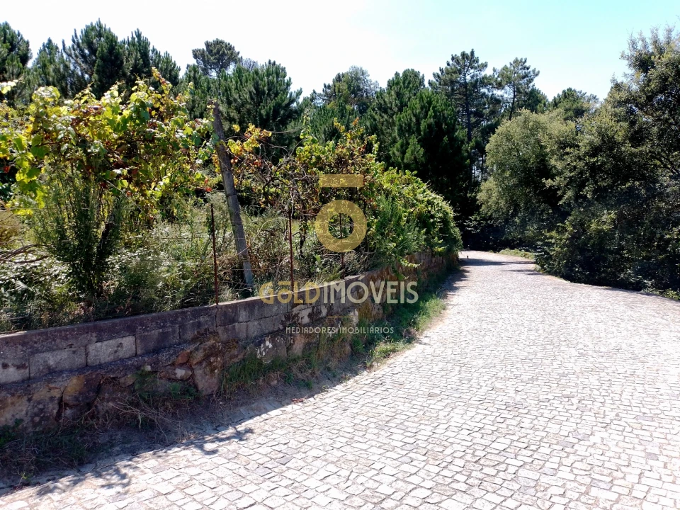 Terreno para Venda em Espadanedo Foto 10