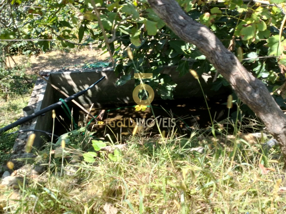 Terreno para Venda em Espadanedo Foto 7