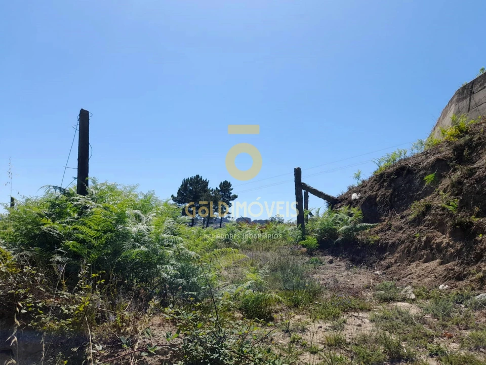 Terreno para Venda em Travanca Foto 3