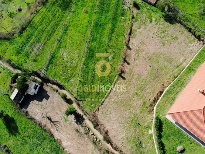 Terreno para Venda em Travanca Foto 1