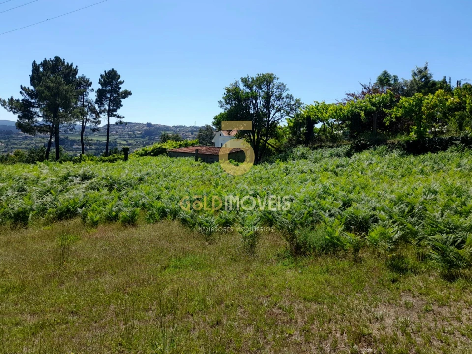 Terreno para Venda em Travanca Foto 2