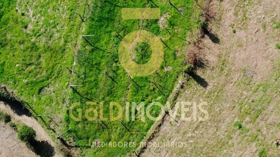 Terreno para Venda em Travanca