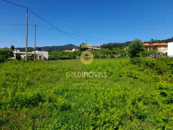 Terreno para Venda em Travanca Foto 5