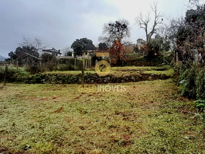 Terreno Agricola ou Rústico para Venda em Souselo Foto 2