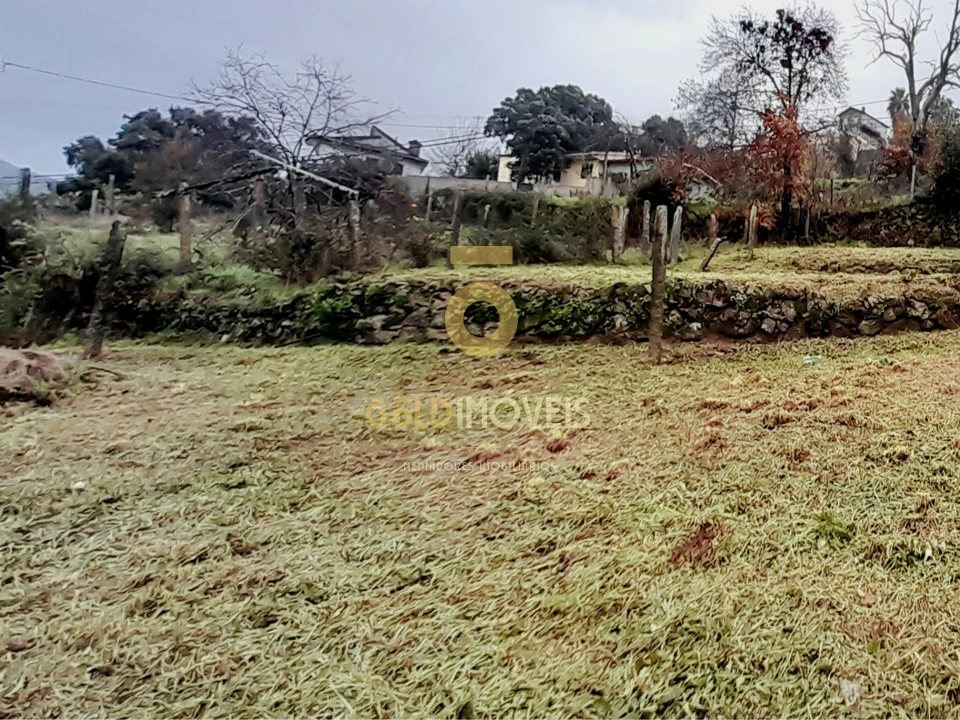 Terreno Agricola ou Rústico para Venda em Souselo Foto 3