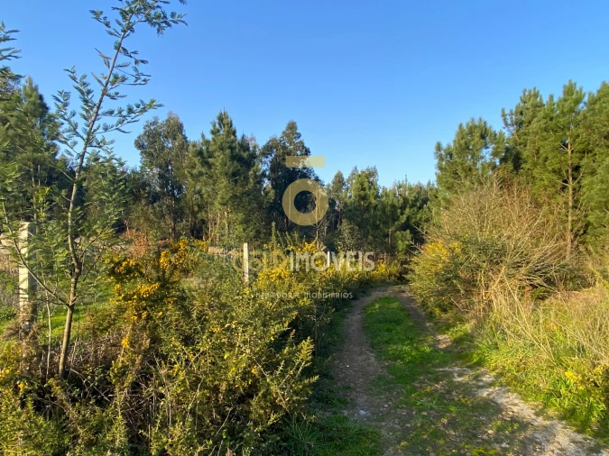 Terreno Agricola ou Rústico para Venda em Sobrado e Bairros Foto 6