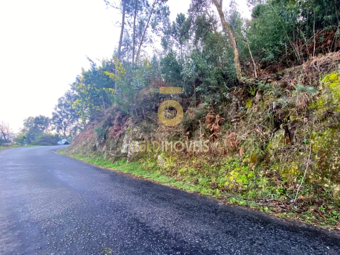 Terreno Agricola ou Rústico para Venda em Sobrado e Bairros Foto 4