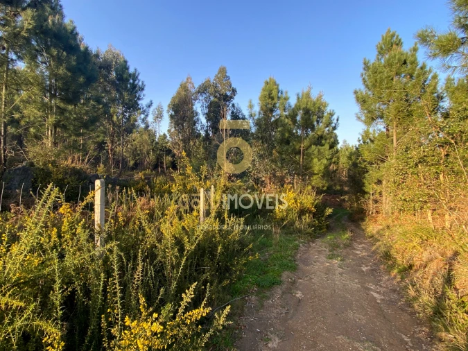 Terreno Agricola ou Rústico para Venda em Sobrado e Bairros Foto 8