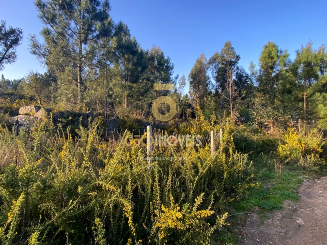 Terreno Agricola ou Rústico para Venda em Sobrado e Bairros Foto 7