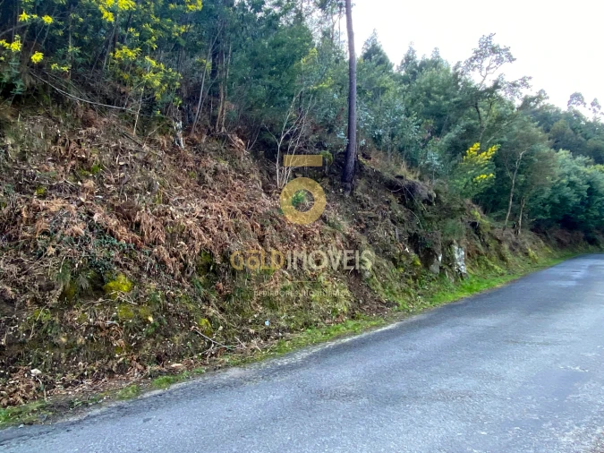 Terreno Agricola ou Rústico para Venda em Sobrado e Bairros Foto 3