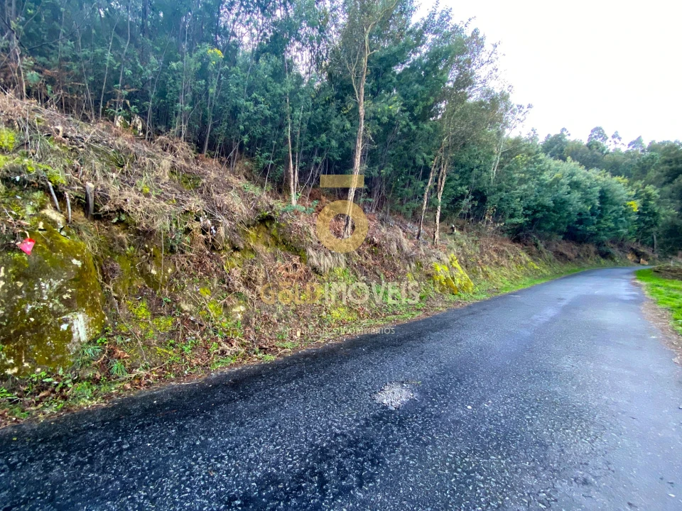 Terreno Agricola ou Rústico para Venda em Sobrado e Bairros Foto 1