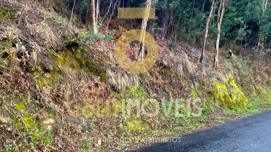 Terreno Agricola ou Rústico para Venda em Sobrado e Bairros