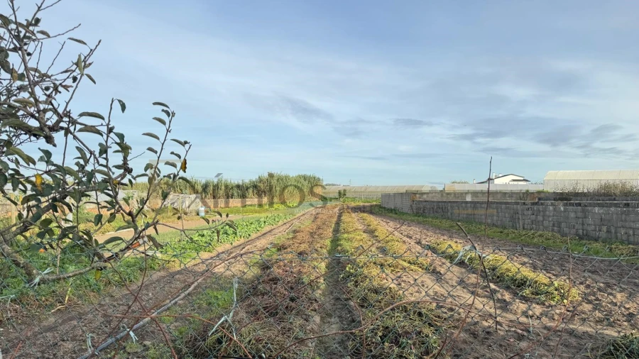 Moradia T0 para Venda em Aguçadoura e Navais Foto 4