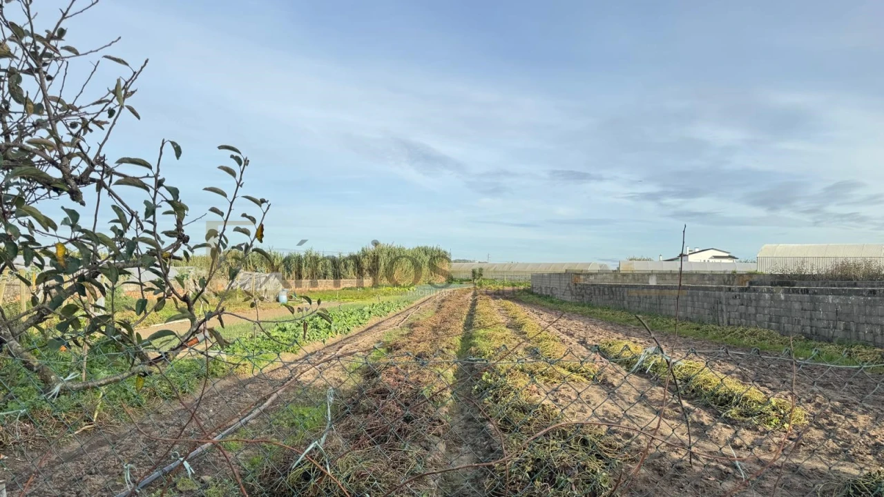 Moradia T0 para Venda em Aguçadoura e Navais Foto 3